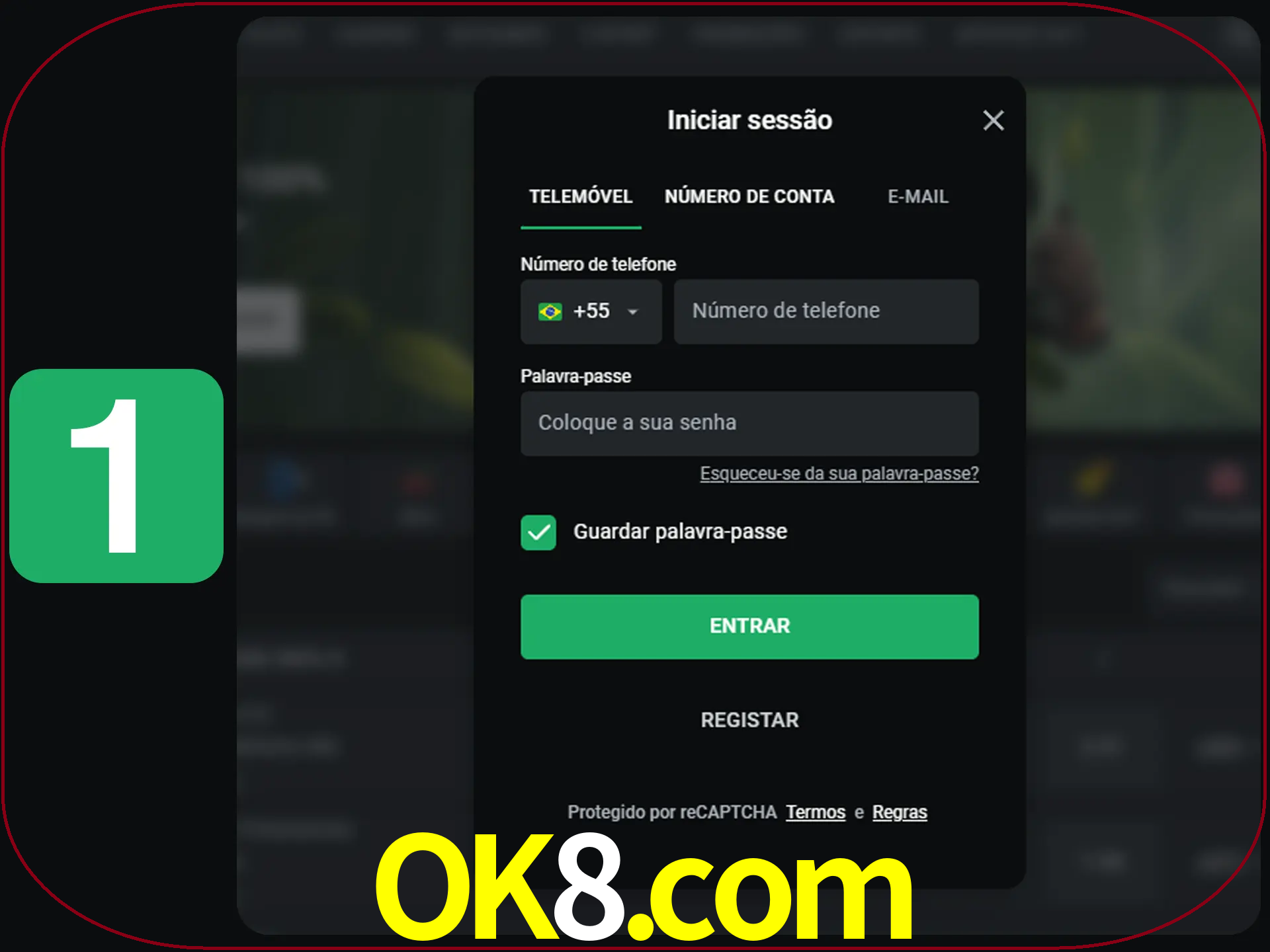 Clique no botão Entrar.